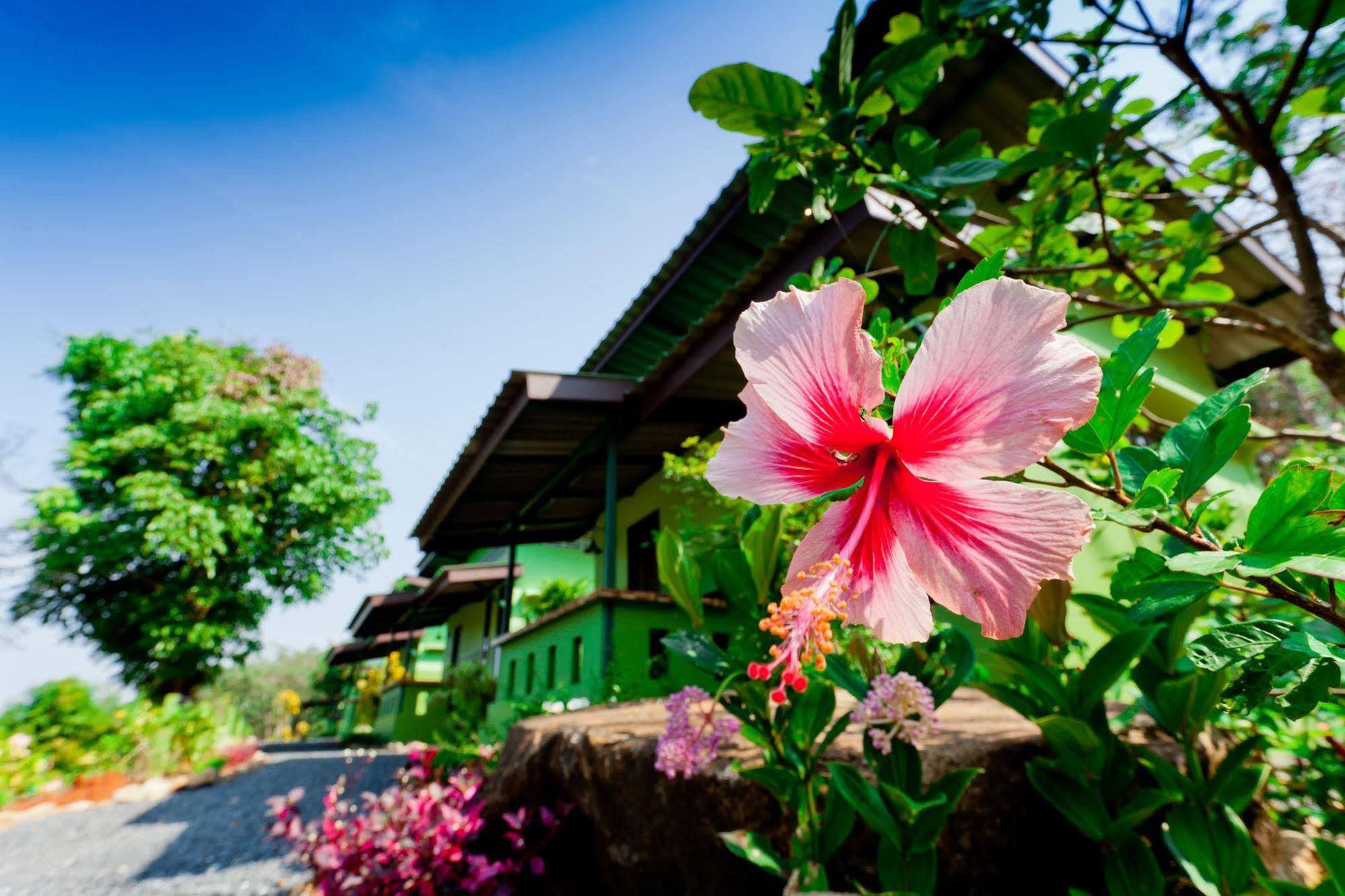 The Mouth Resort - Sha Extra Plus Khao Lak Exteriér fotografie